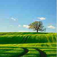 智‌能‌技﻿术‌手﻿段‍